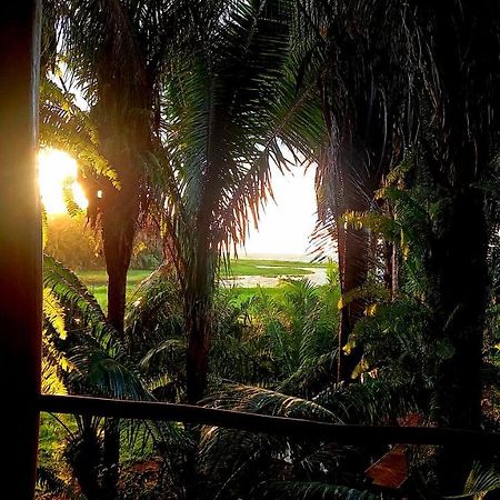 Encanto Lodge Drake Bay ภายนอก รูปภาพ