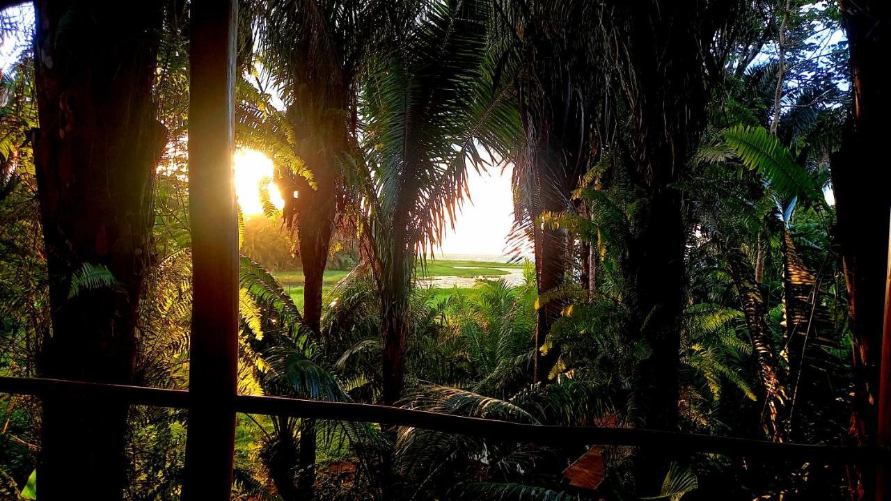 Encanto Lodge Drake Bay ภายนอก รูปภาพ