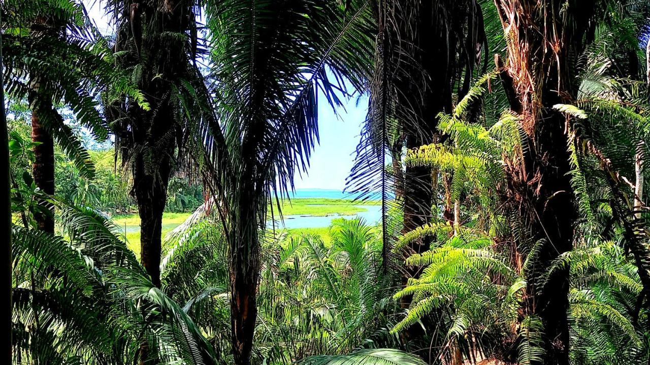 Encanto Lodge Drake Bay ภายนอก รูปภาพ