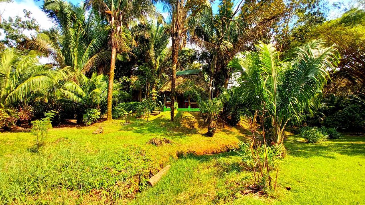 Encanto Lodge Drake Bay ภายนอก รูปภาพ