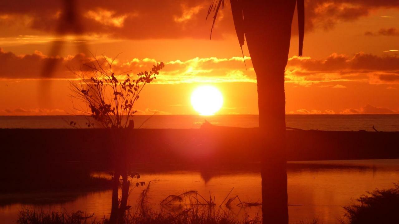 Encanto Lodge Drake Bay ภายนอก รูปภาพ