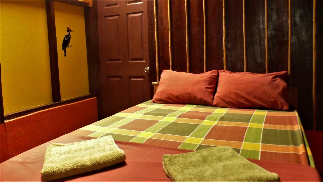 Encanto Lodge Drake Bay ภายนอก รูปภาพ
