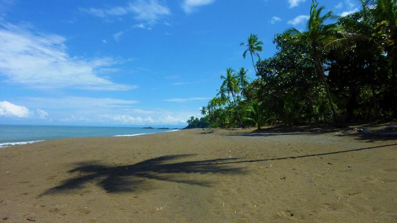 Encanto Lodge Drake Bay ภายนอก รูปภาพ