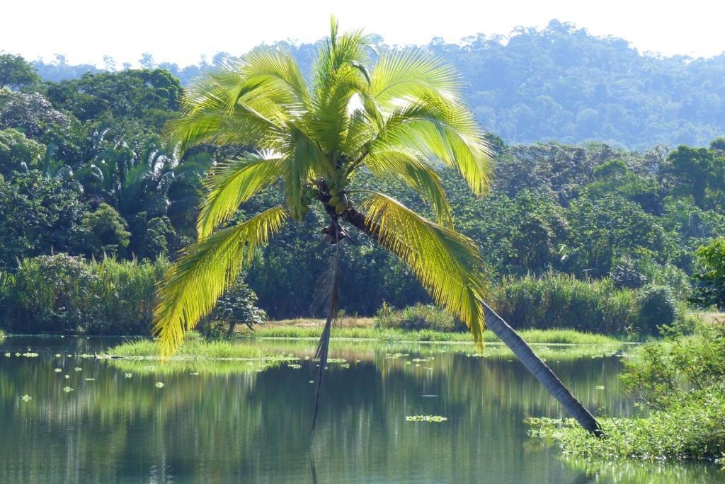 Encanto Lodge Drake Bay ภายนอก รูปภาพ